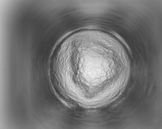 X0000070231437200606232146