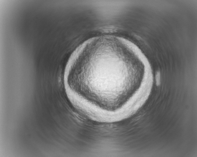 X0000070231444200606232145