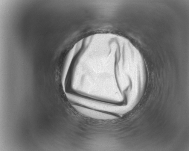 X0000070231447200606232145
