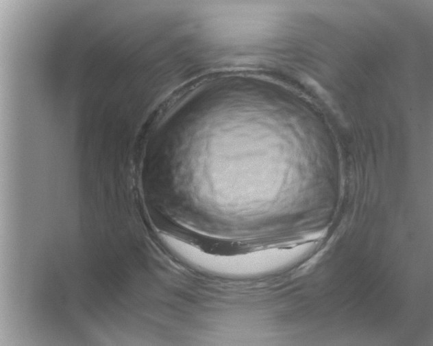 X0000070231449200606232145