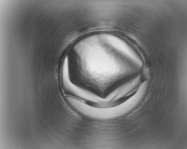 X0000070231450200606232145