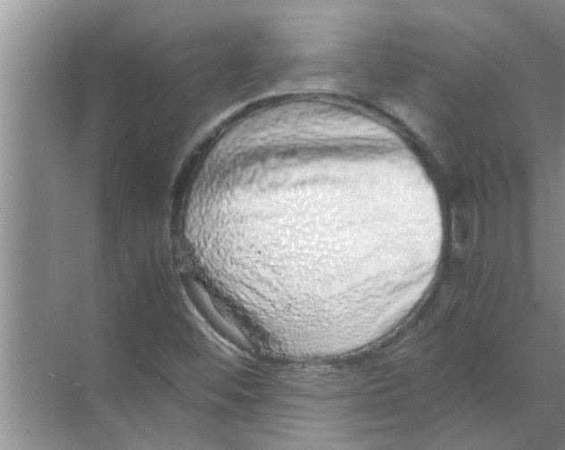 X0000070231452200606232145