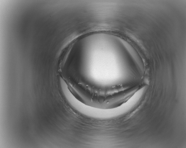 X0000070231453200606232145