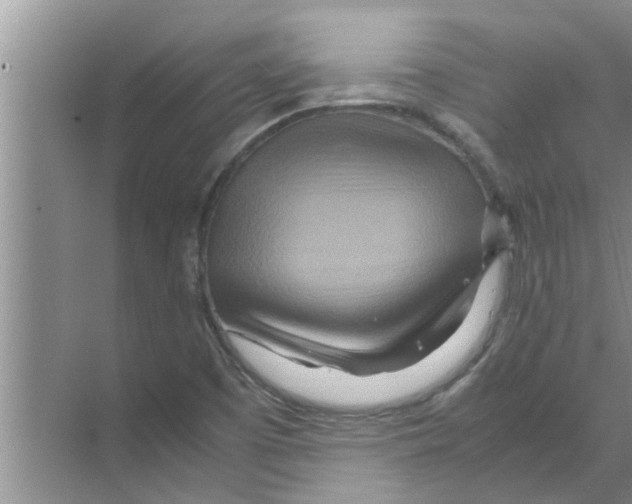 X0000070231457200606232144