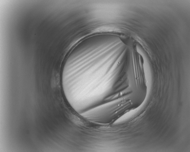 X0000070231465200606232144