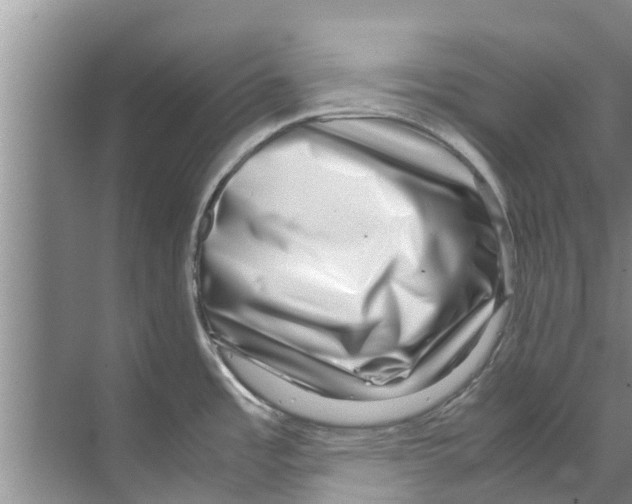 X0000070231485200606232144