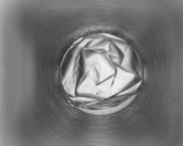 X0000070231492200606232143