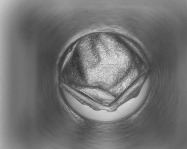 X0000070231506200606232143