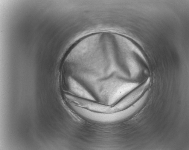 X0000070231507200606232143