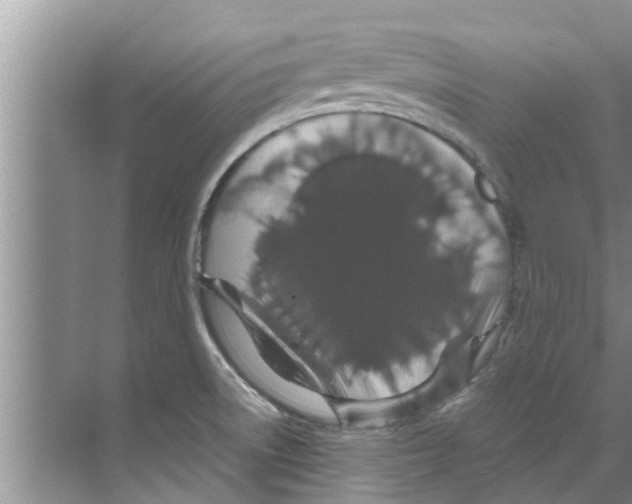 X0000070231522200606232144
