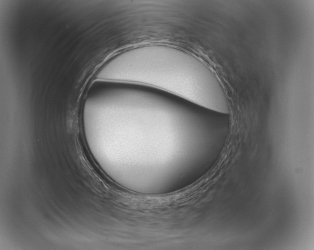X0000070240002200606020945