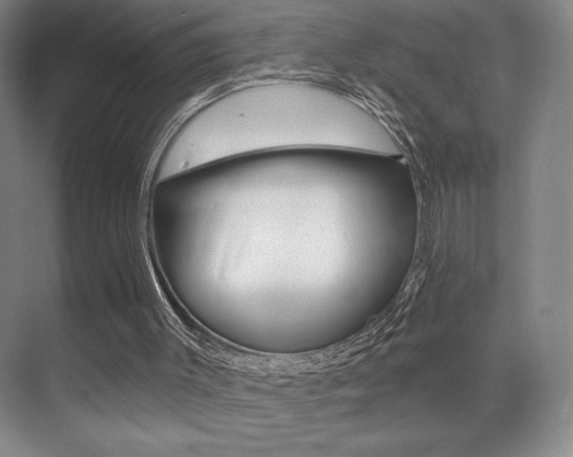 X0000070240003200606020945
