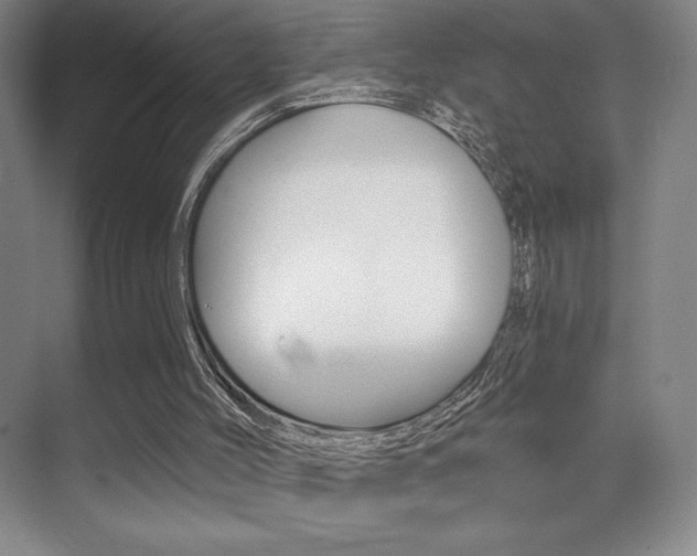 X0000070240004200606020945
