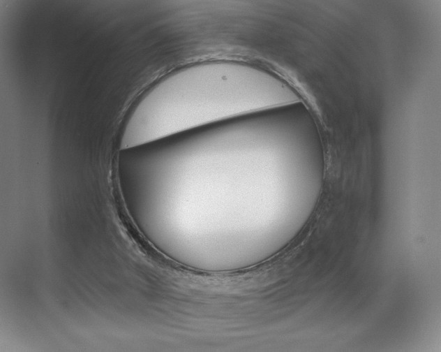 X0000070240010200606020944