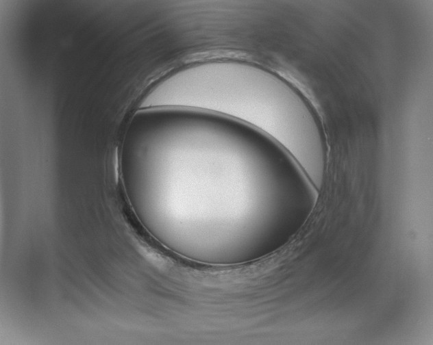 X0000070240013200606020944