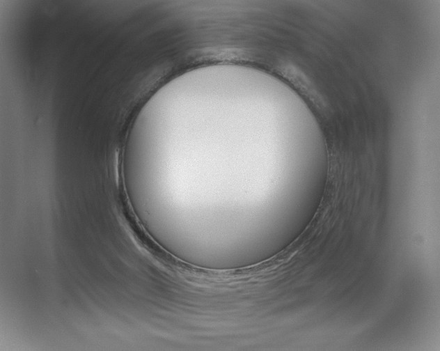 X0000070240014200606020944