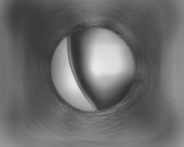 X0000070240025200606020944