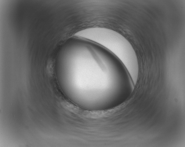 X0000070240037200606020944