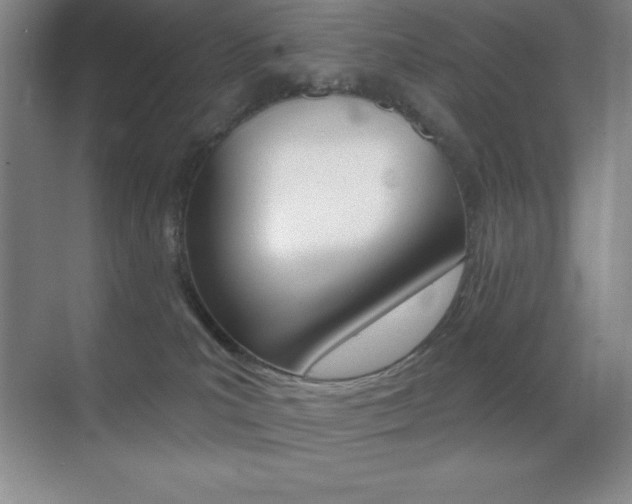 X0000070240039200606020944