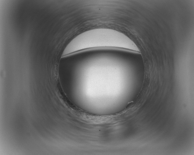 X0000070240044200606020944