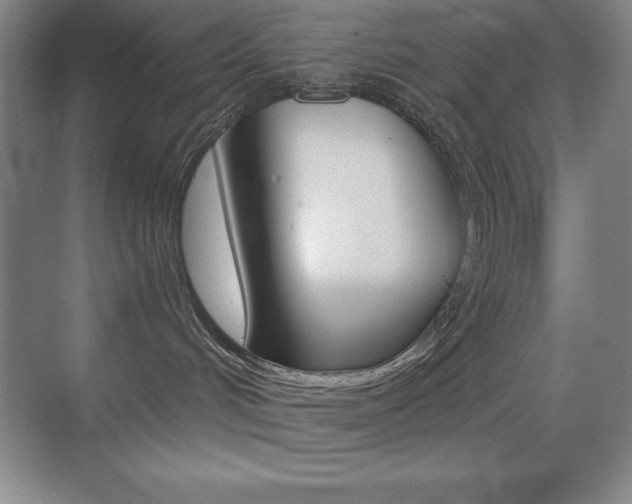 X0000070240048200606020944