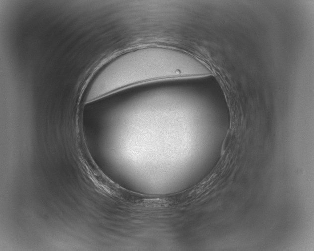 X0000070240050200606020943