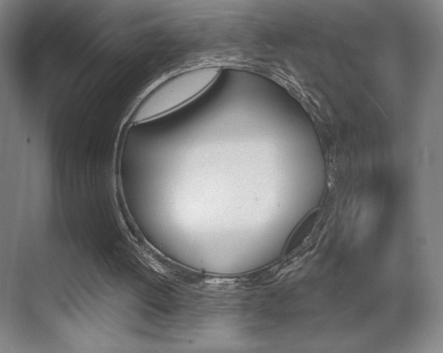 X0000070240052200606020943