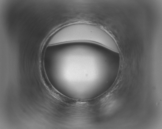 X0000070240055200606020943