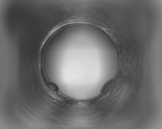 X0000070240056200606020943
