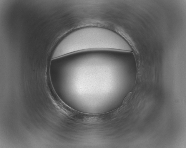 X0000070240058200606020943