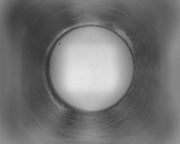 X0000070240060200606020943