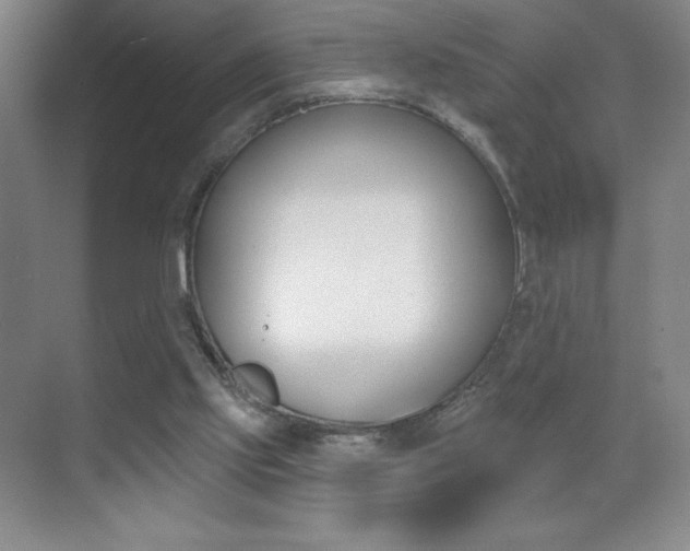 X0000070240061200606020943