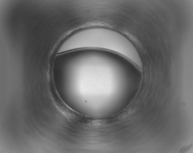 X0000070240064200606020943