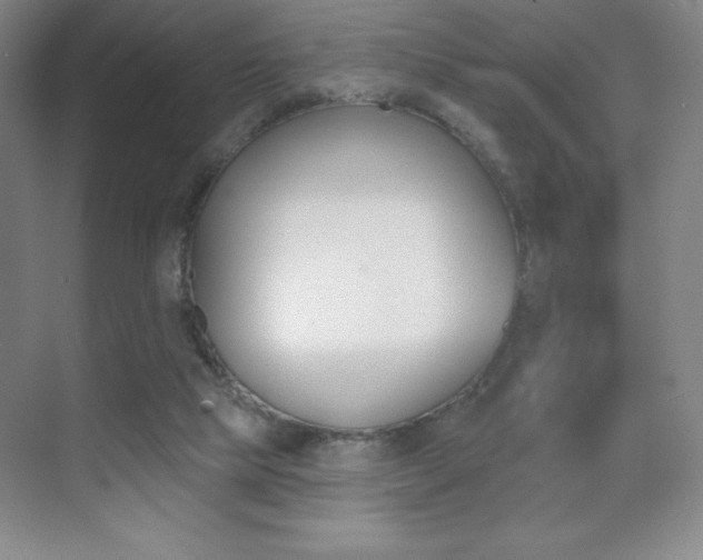 X0000070240065200606020943