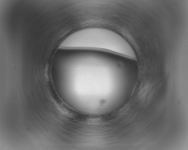 X0000070240066200606020943