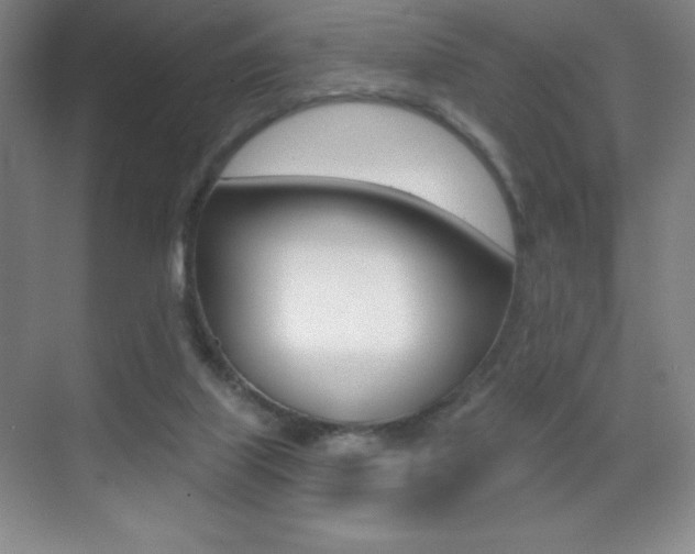 X0000070240067200606020943