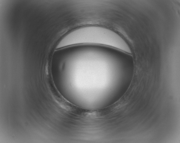 X0000070240068200606020943