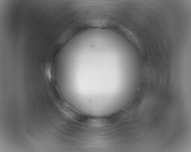 X0000070240069200606020943