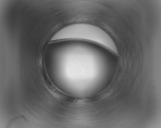X0000070240072200606020943