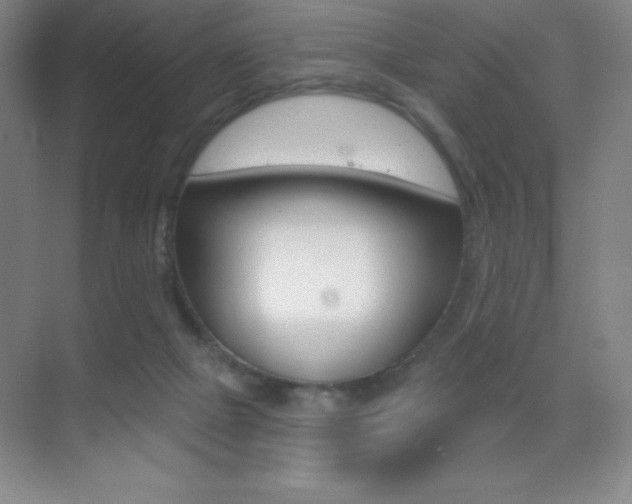 X0000070240073200606020943