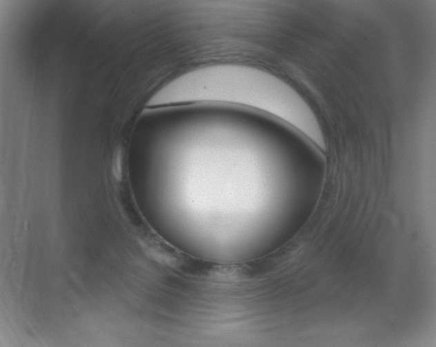 X0000070240076200606020943