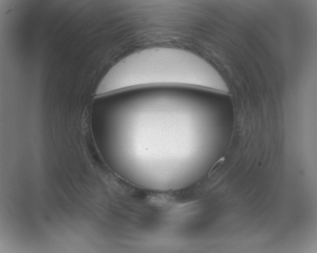 X0000070240079200606020944