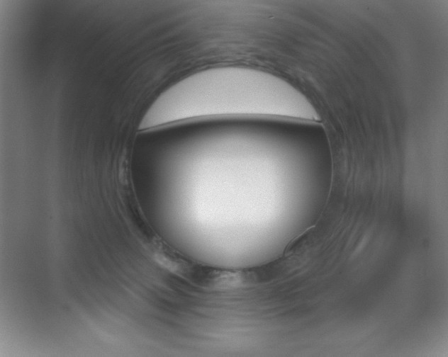 X0000070240083200606020944
