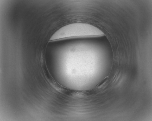 X0000070240086200606020944