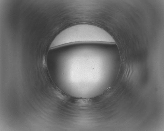 X0000070240089200606020944