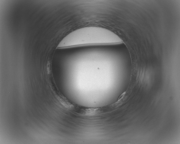 X0000070240090200606020944