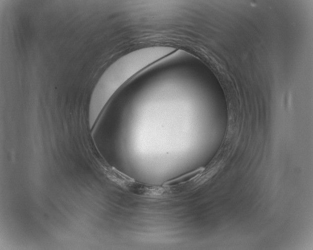X0000070240096200606020944