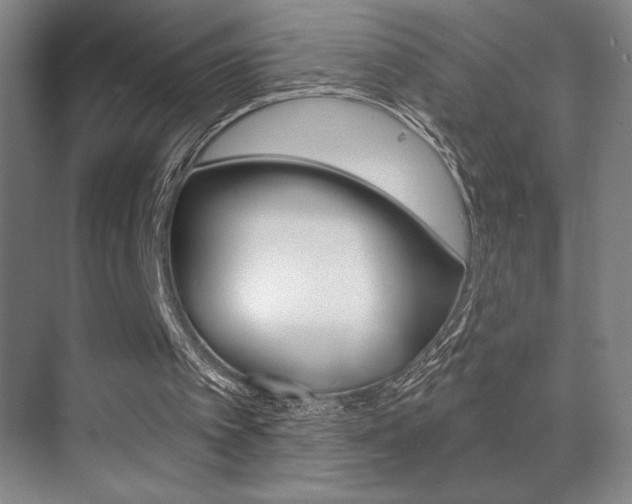 X0000070240097200606020943