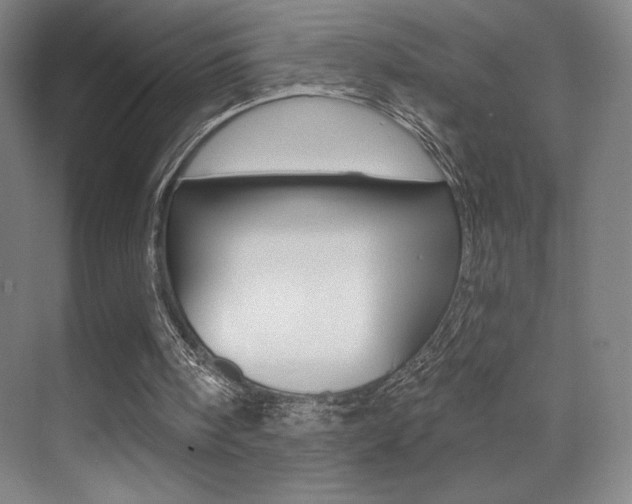 X0000070240098200606020943