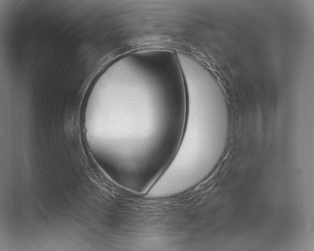 X0000070240099200606020943